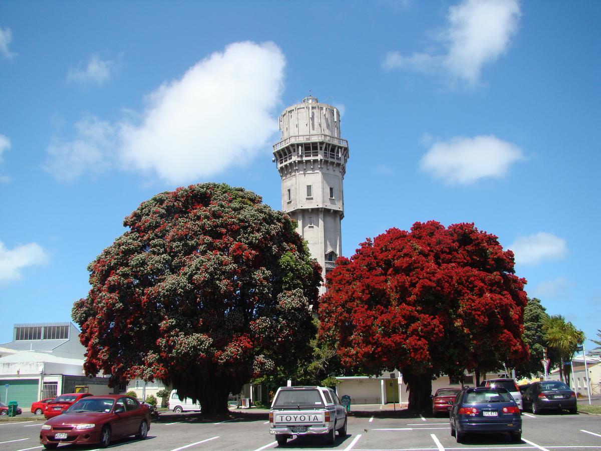 Kiwi Court Motel Hawera Exterior photo